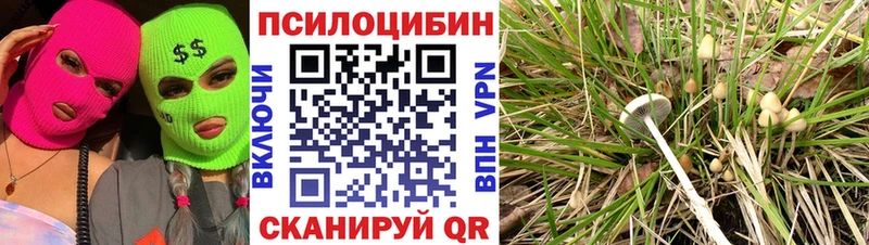 Купить где  Ступино  Галлюциногенные грибы MAGIC MUSHROOMS 